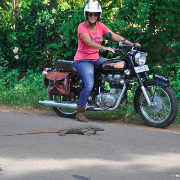 les-routes-du-sri-lanka-avec-vintage-rides-entre-uda-walawe-et-matara