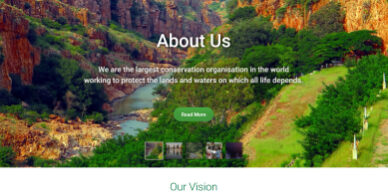 TNC - Web Development Portfolio