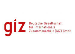 GIZ Logo