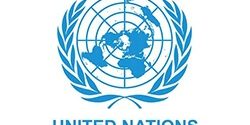 United Nation Logo