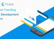 Why is Flutter The Most Trending Hybrid Development Platform