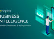 Business Intelligence - Processes, and Its Importance